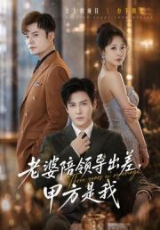 老婆陪领导出差，甲方是我