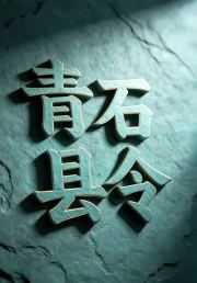 青石县令2